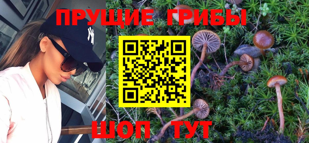 Псилоцибиновые грибы GOLDEN TEACHER  Вход с VPN  Балашиха 