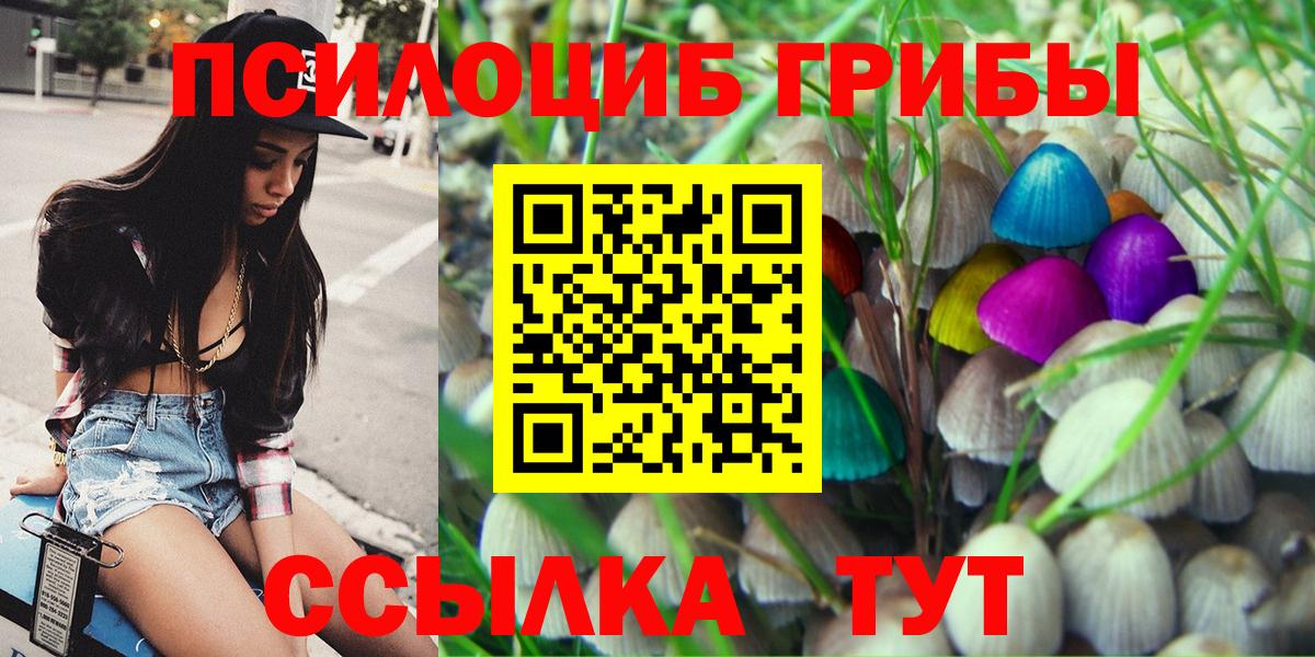 Галлюциногенные грибы прущие грибы Балашиха